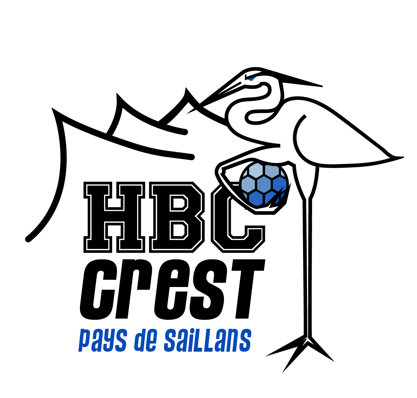Logo HBCCPS